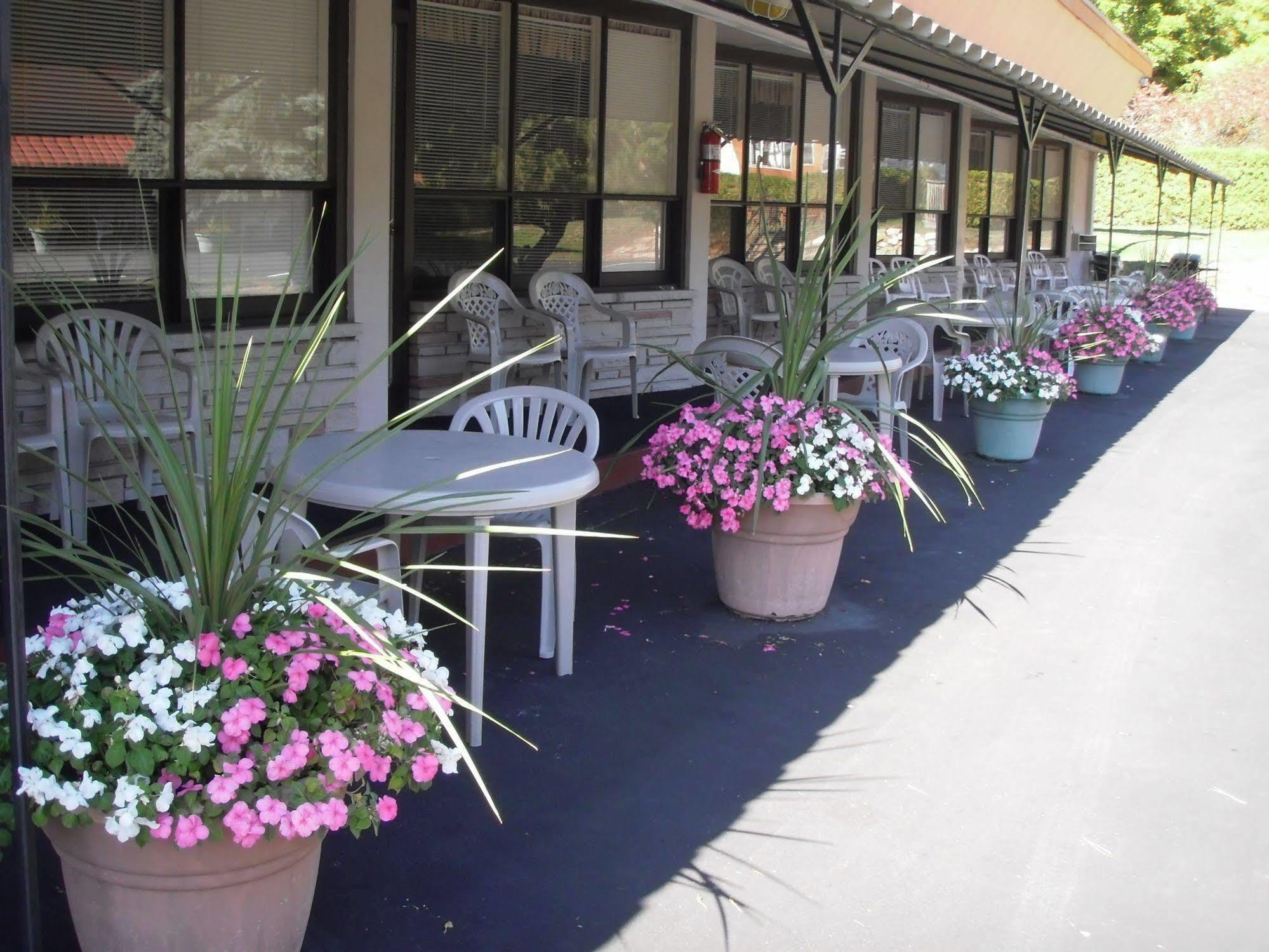 Capricorn Motel Royale 1000 Islands Lansdowne ภายนอก รูปภาพ